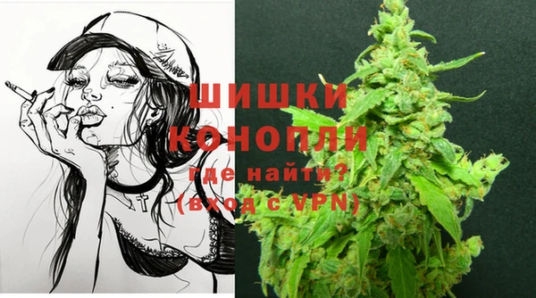PSILOCYBIN Алзамай