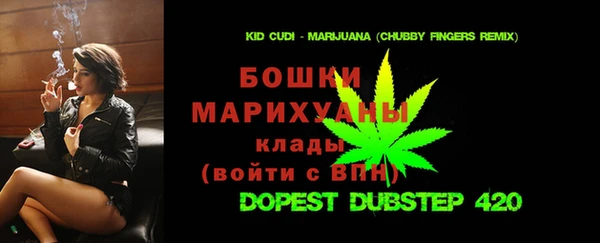 PSILOCYBIN Алзамай