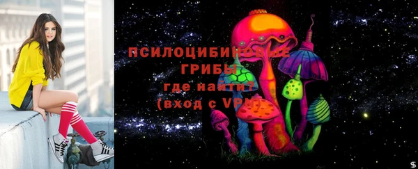 PSILOCYBIN Алзамай